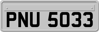 PNU5033