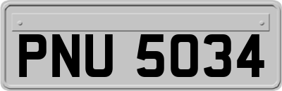 PNU5034