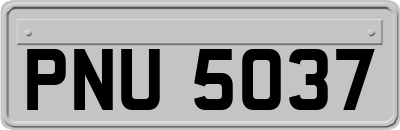 PNU5037