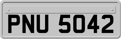 PNU5042