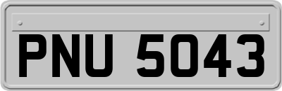 PNU5043