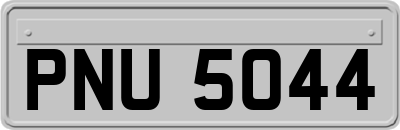 PNU5044