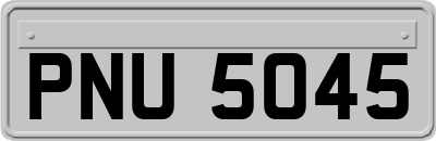 PNU5045