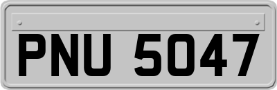 PNU5047