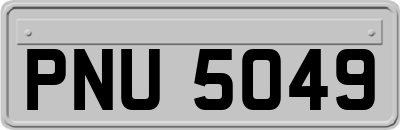 PNU5049