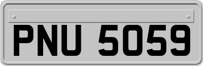 PNU5059