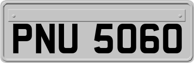 PNU5060