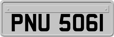 PNU5061