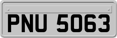 PNU5063