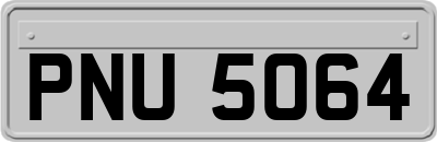 PNU5064