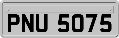 PNU5075