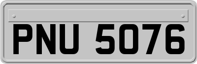 PNU5076