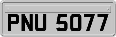 PNU5077