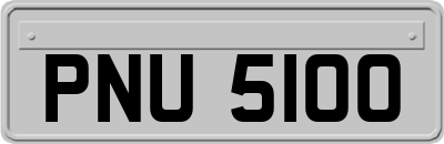 PNU5100