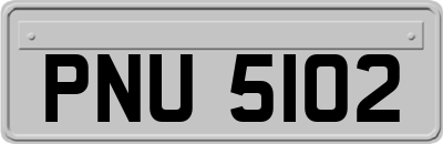 PNU5102
