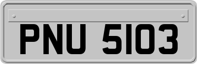 PNU5103