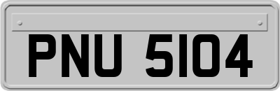 PNU5104