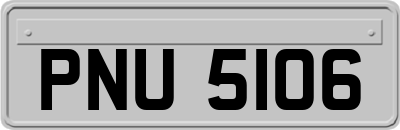 PNU5106