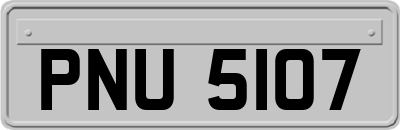 PNU5107
