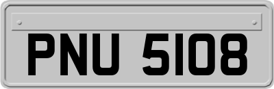 PNU5108