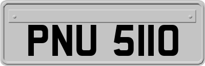 PNU5110