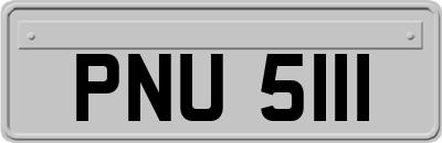 PNU5111