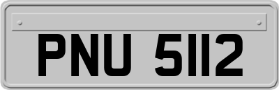 PNU5112