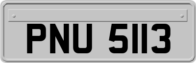 PNU5113
