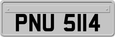 PNU5114