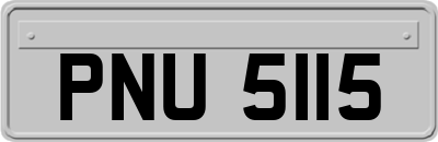 PNU5115