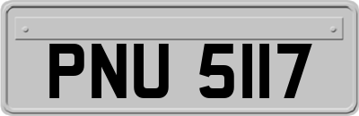 PNU5117