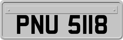 PNU5118