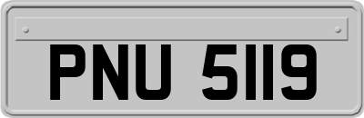 PNU5119