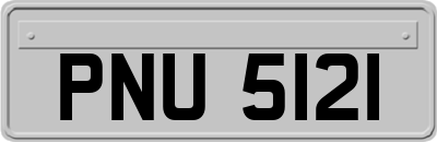 PNU5121