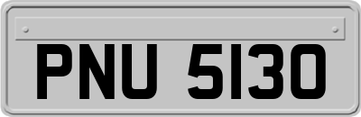 PNU5130