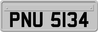 PNU5134