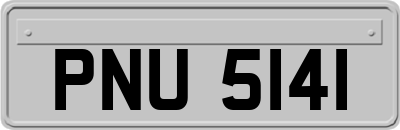 PNU5141