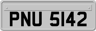 PNU5142