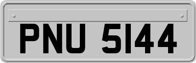 PNU5144
