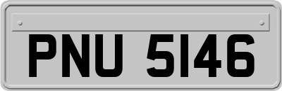 PNU5146