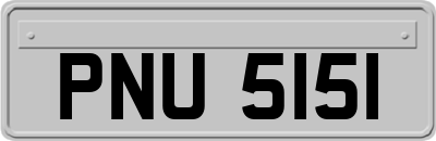 PNU5151