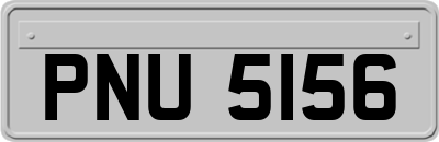 PNU5156