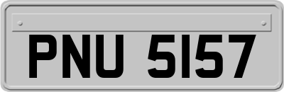 PNU5157