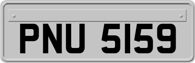 PNU5159