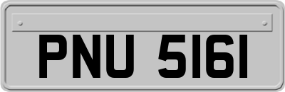 PNU5161
