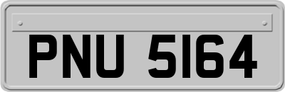 PNU5164
