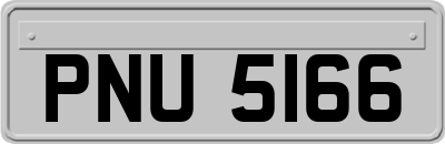 PNU5166