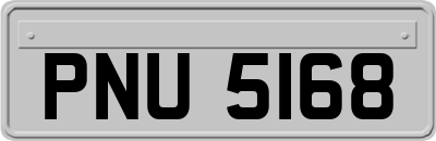 PNU5168