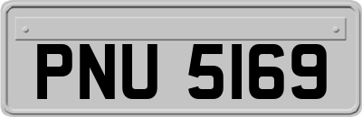 PNU5169