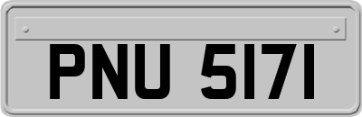 PNU5171
